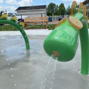 Head of the Sea Monster