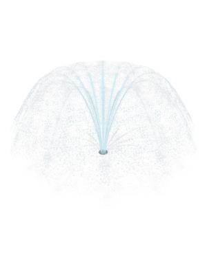 Jet Champignon